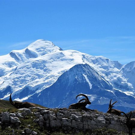 Vintage Chic -Central, Wifi, Mountain View Les Carroz d'Araches Eksteriør bilde