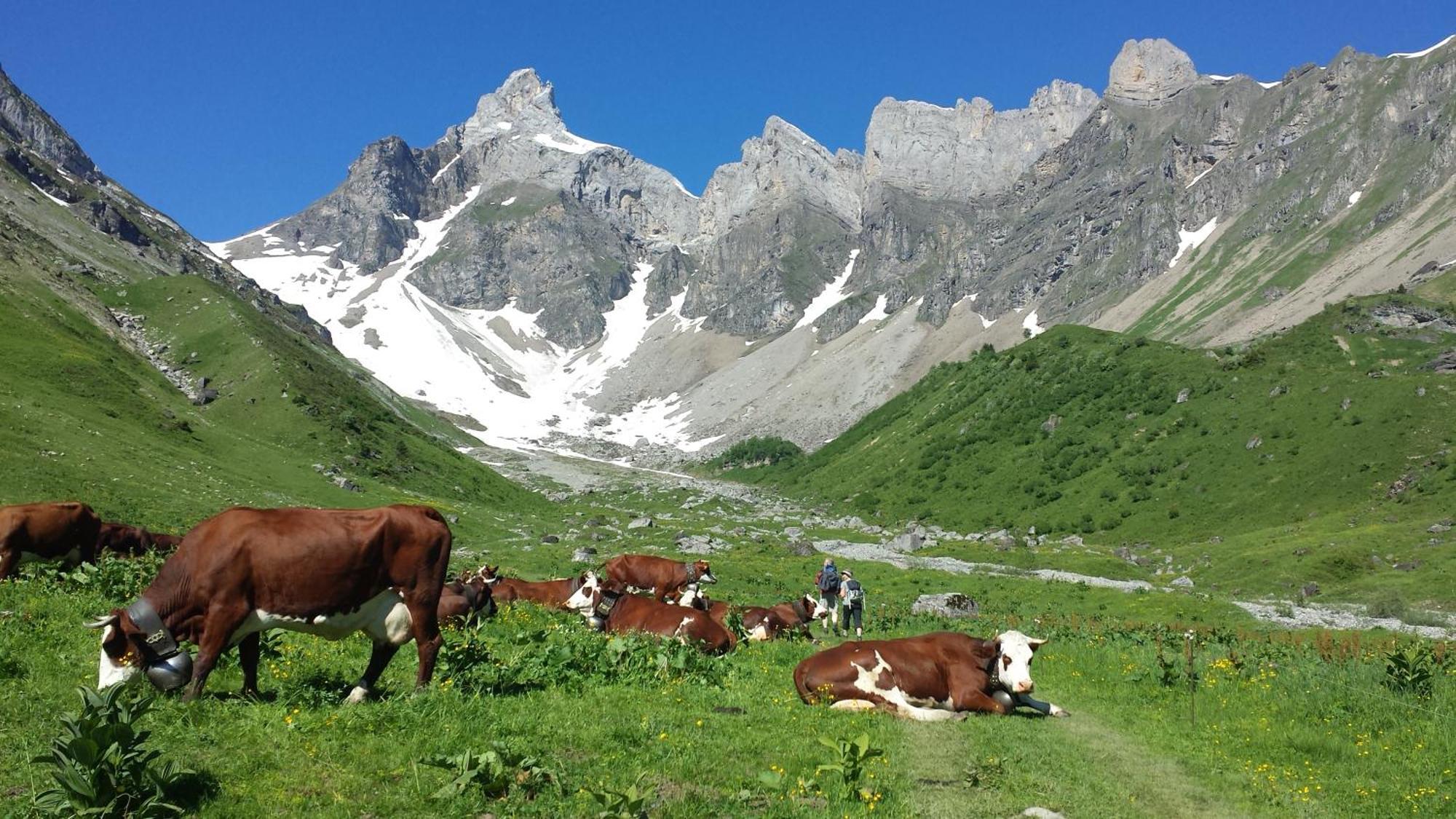 Vintage Chic -Central, Wifi, Mountain View Les Carroz d'Araches Eksteriør bilde